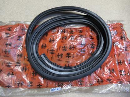 60805673 Deurrubber rechtsvoor