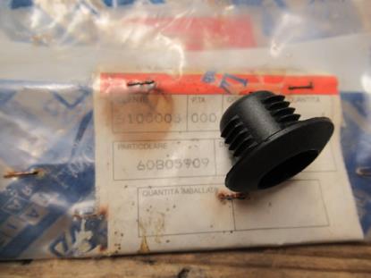60805909 Plug