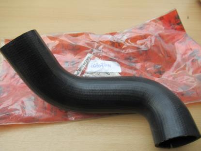 60808844 Intercoolerslang