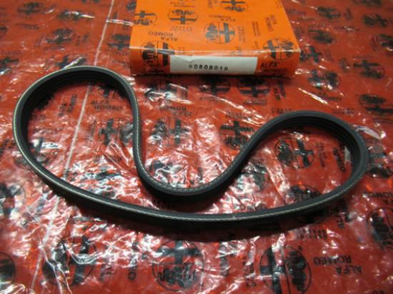 60809019 Multiriem 765mm