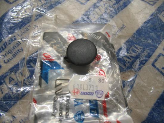 60813731 Dop afdekking ruitenwisser