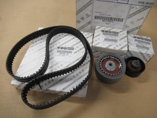 71736725 Distributieriemset