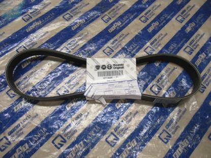 71746480 Multiriem 815mm 1.9 JTD