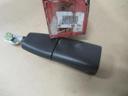 735278774 Gordeltulp rechts