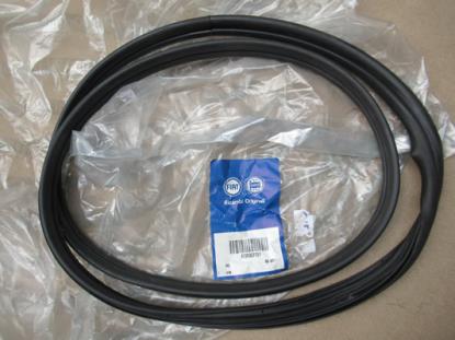 735327751 Profiel rubber deur voorzijde links