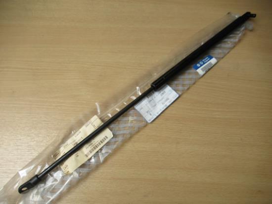 7550172 Gasveer achterklep