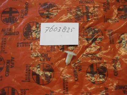 7603825 Plug deuren voorzijde