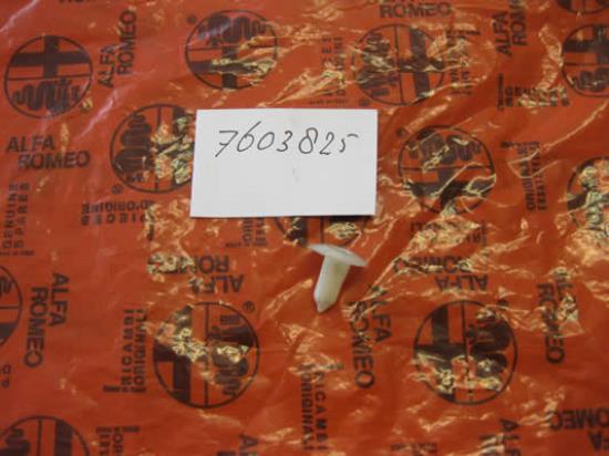 7603825 Plug deuren voorzijde