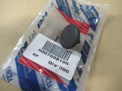 7658196 Pen bevestiging zijruit