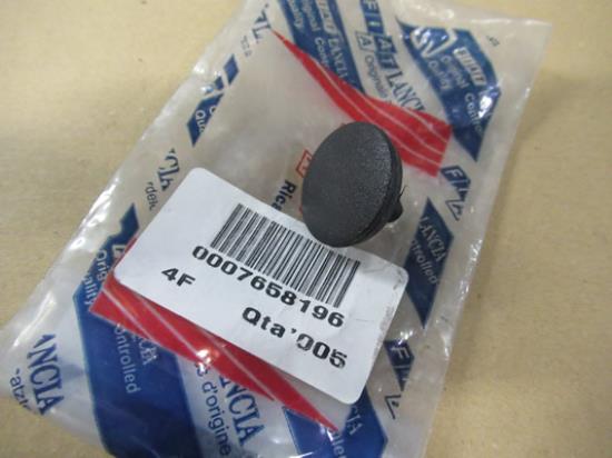 7658196 Pen bevestiging zijruit