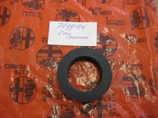 7699194 Bus radiateur