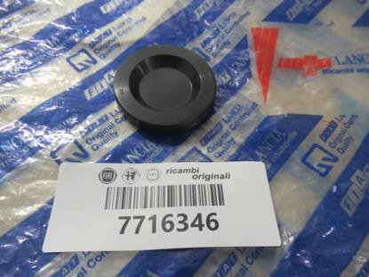 7716346 Balansas plug