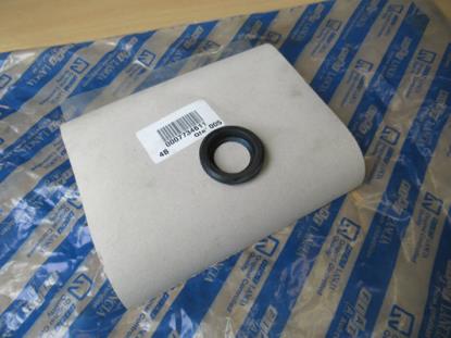 7734611 Pakking achterklep