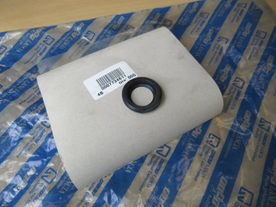 7734611 Pakking achterklep