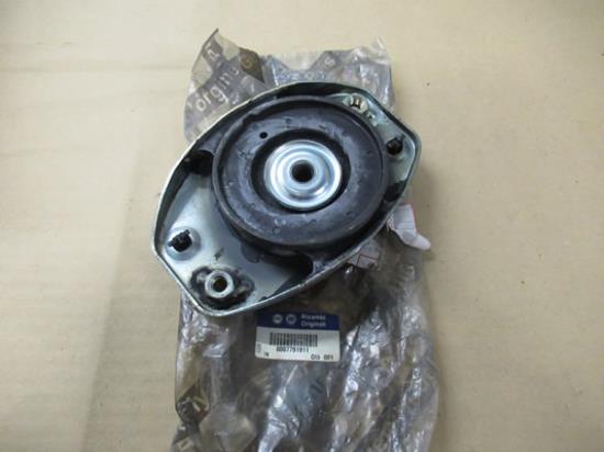 7791911 Veerpootkop linksvoor