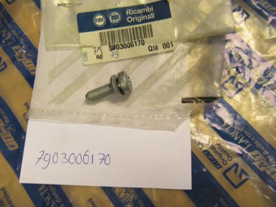 7903006170 Bout M6x20