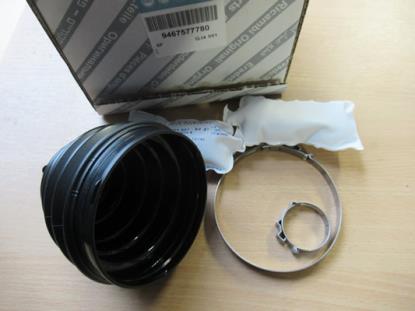 9467577780 Ashoesset