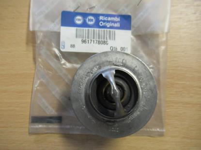 9617178080 Thermostaat