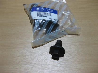 9659107280 Carterplug M14