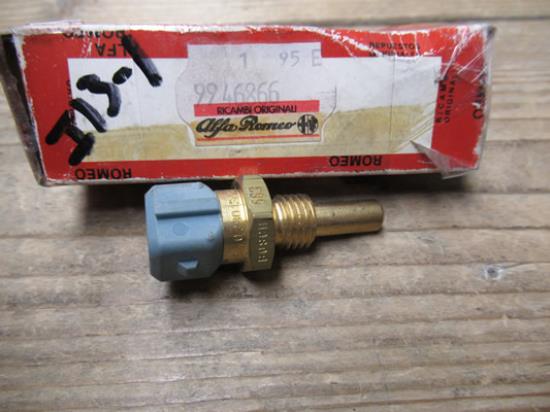 9946866 Temperatuur sensor