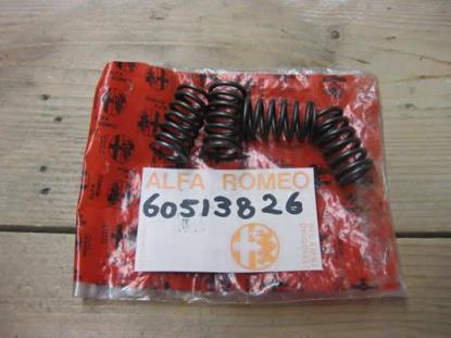 60513826 Klep veertje