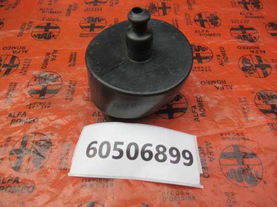 60506899 Bescherming bobine