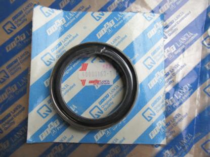 40000160 Keerring krukas