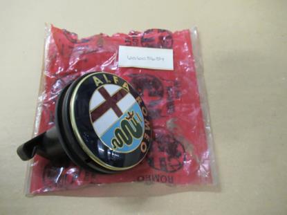 60605654 Achterklep slot met embleem