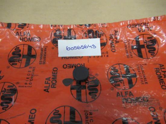 60565643 Deurgreep plug