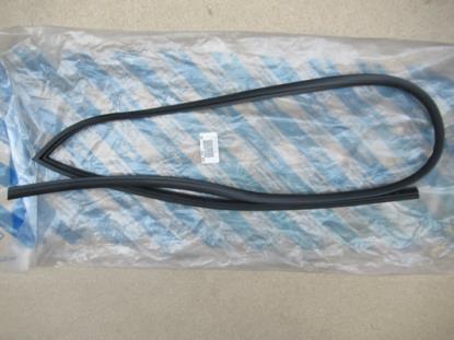 46511526 Raamrubber portier rechtsvoor