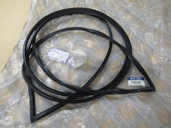 46510782 Raamrubber voorruit