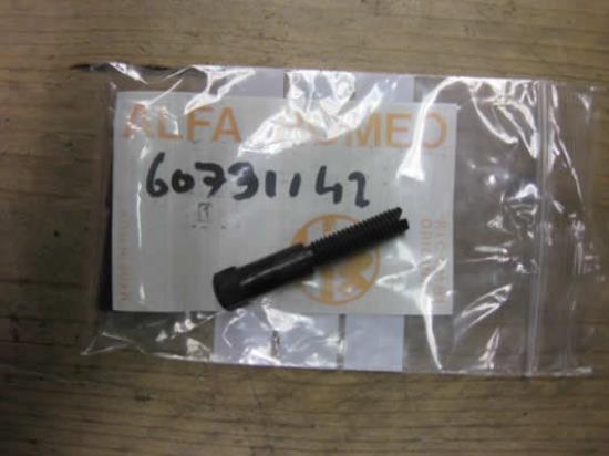 60731142 Afstelschroef binnenspiegel