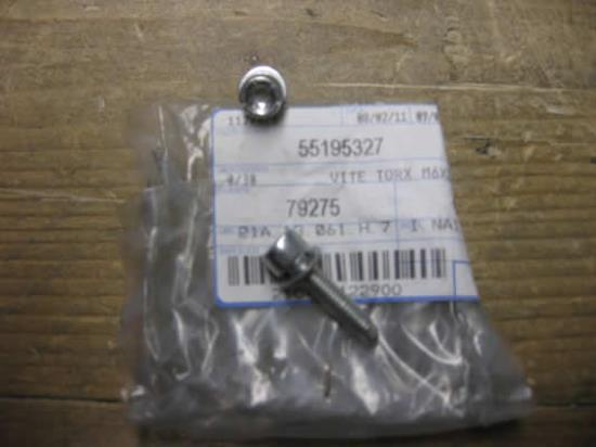 55195327 Bout met ring