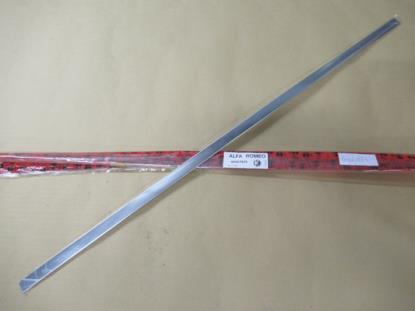 60567825 Stootstrip voordeur links