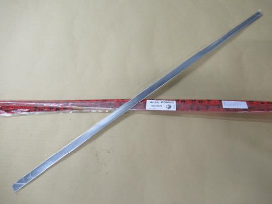 60567825 Stootstrip voordeur links