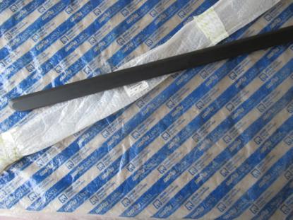 735294278 Stootstrip voorportier rechts