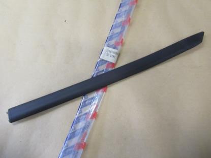 170619080 Stootstrip achterscherm links