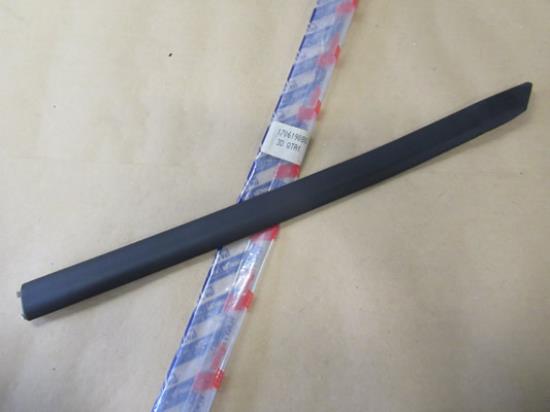 170619080 Stootstrip achterscherm links