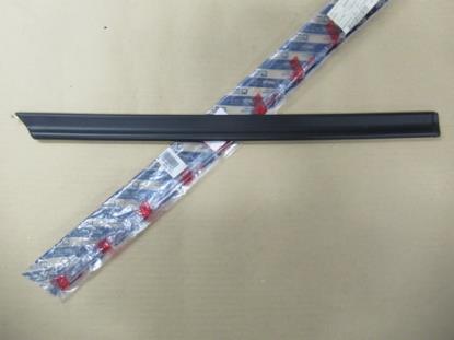 181491380 Stootstrip achterdeur rechts