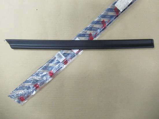 181491380 Stootstrip achterdeur rechts