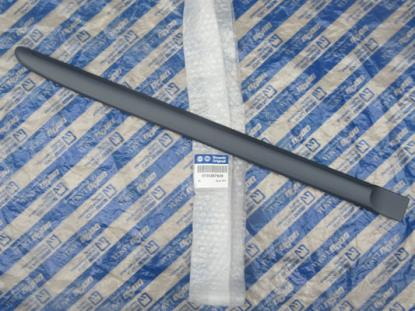 735267929 Stootstrip achterdeur rechts