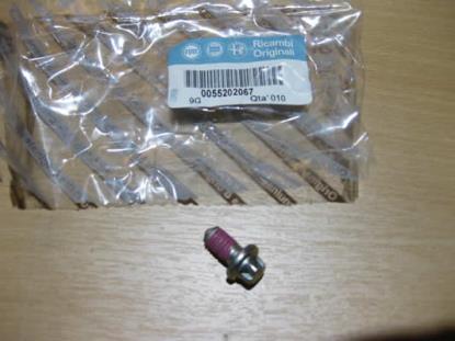 55202067 Bout met ring