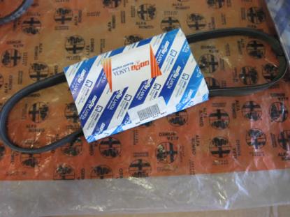 46542139 Multiriem 955mm