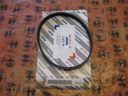 7675213 Multiriem 545mm