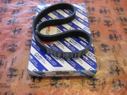 7798722 Multiriem 700mm