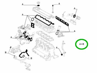 5895002 Motorpakkingset zonder koppakking 2.4 TD