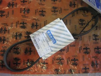 71739618 Multiriem 885mm