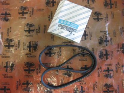 71749429 Multiriem 683mm