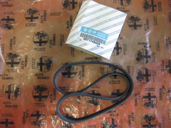 71749429 Multiriem 683mm