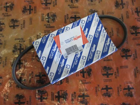 7753473 Multiriem 720mm